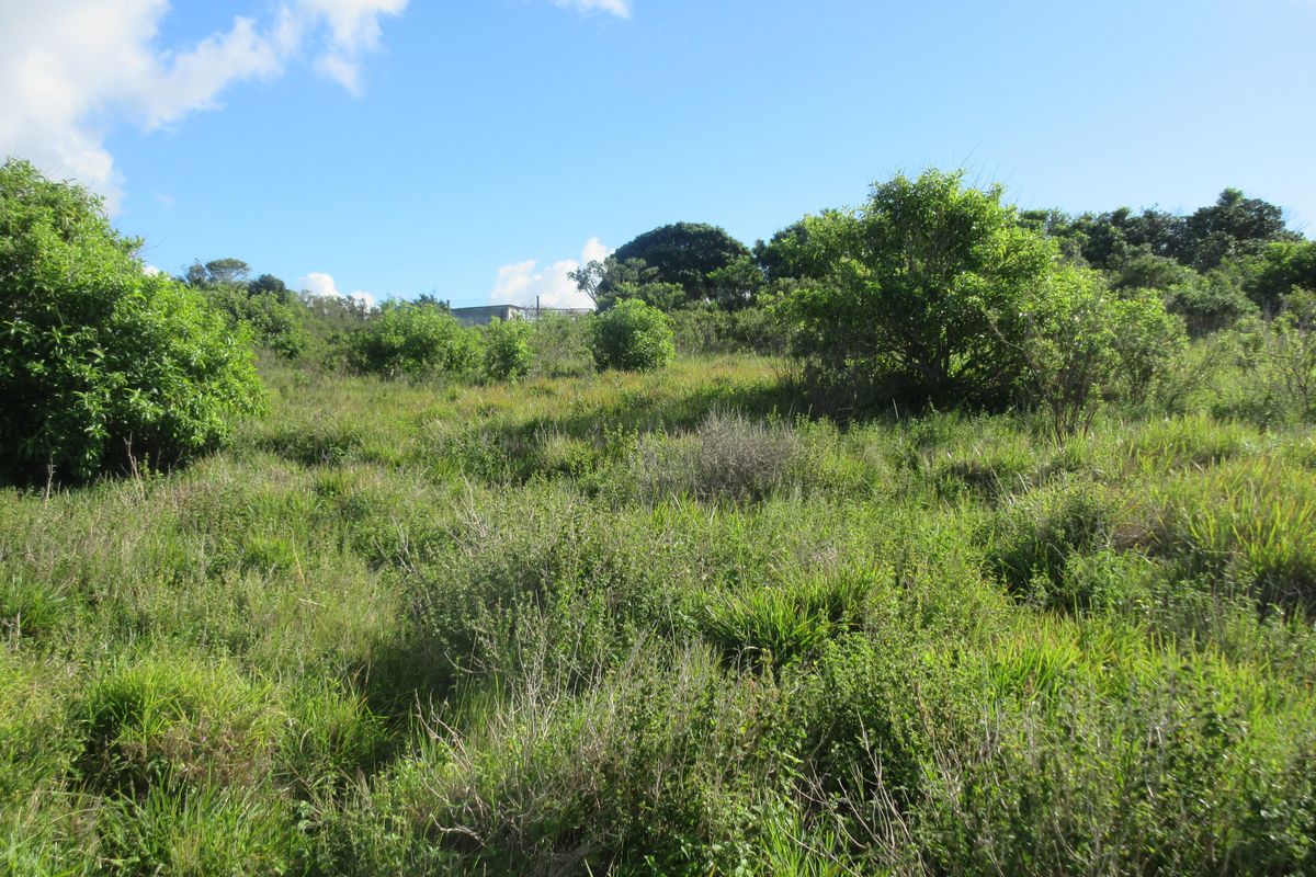The Best of Secure Living in Port Alfred's Umdoni Downs Estate - Photo 5