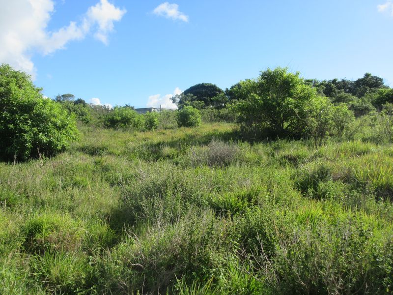 The Best of Secure Living in Port Alfred's Umdoni Downs Estate - Photo 5