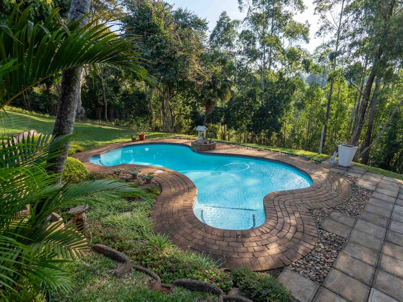 Bidding to start from R2,400mil.!! Live Luxury, Modern Auction! - Photo 4