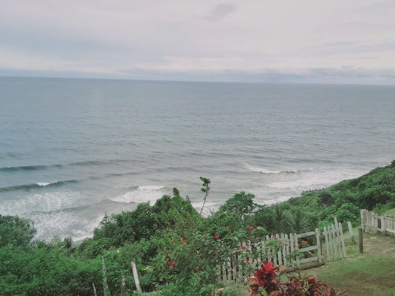Coastal Living At Its Finest - Photo 1