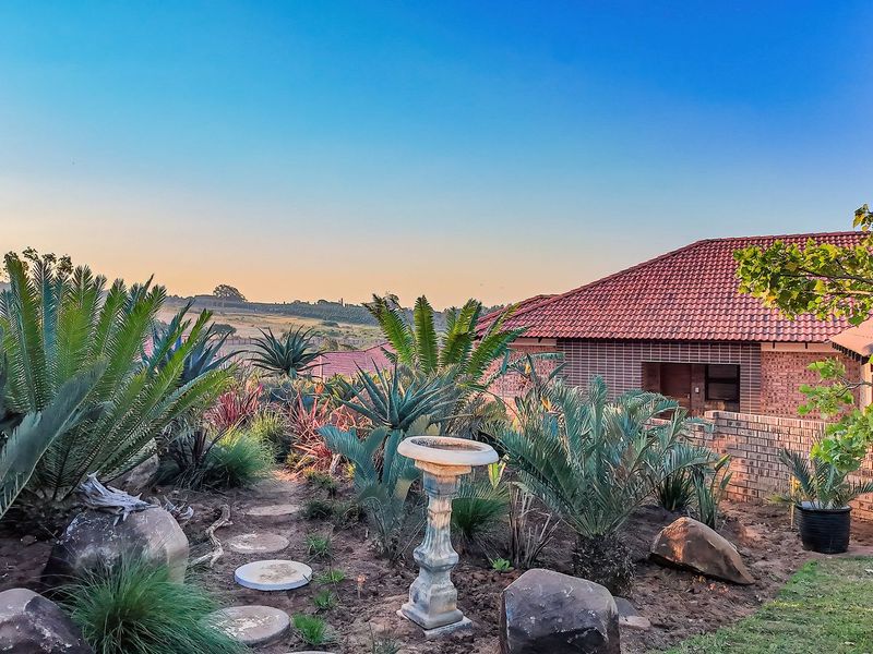 A well-maintained garden featuring established cycads, stone pathways, and a brick boundary wall, set against a scenic landscape view.