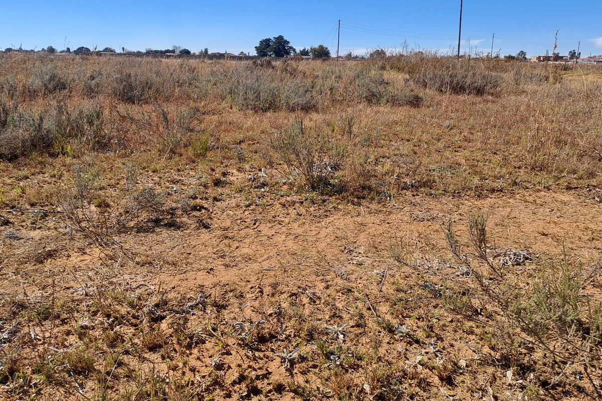 A view of a vacant residential plot featuring natural ground cover and native vegetation, ready for future development.