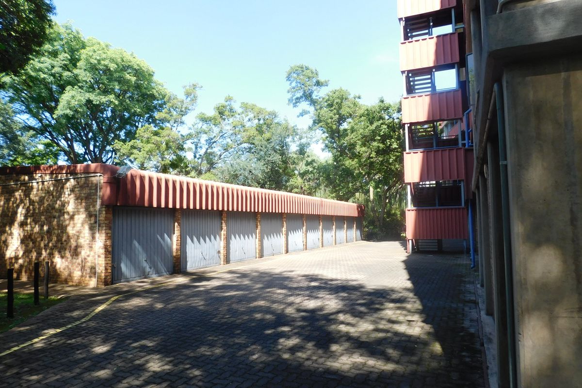 A Real Beaut in Kilner Park - Photo 2