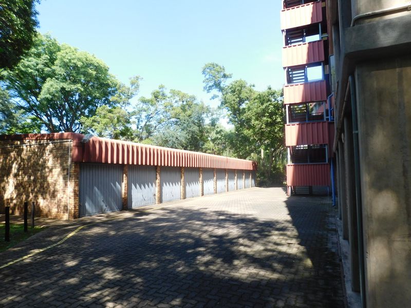 A Real Beaut in Kilner Park - Photo 2