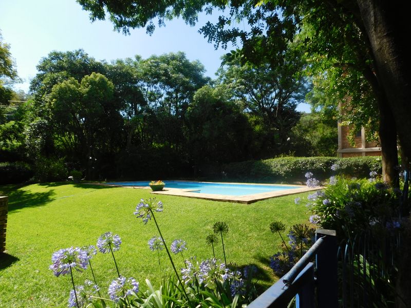 A Real Beaut in Kilner Park - Photo 5