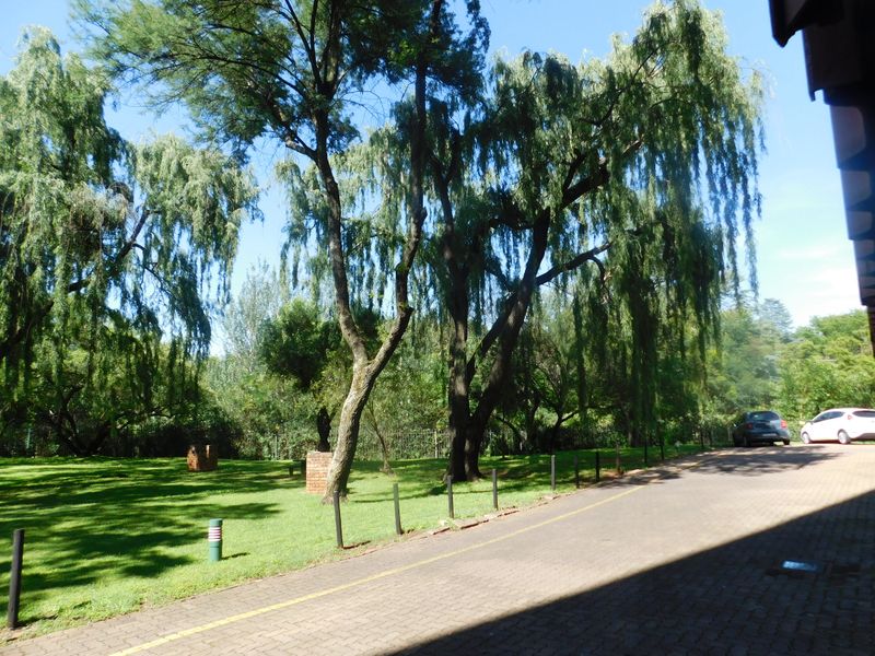A Real Beaut in Kilner Park - Photo 8