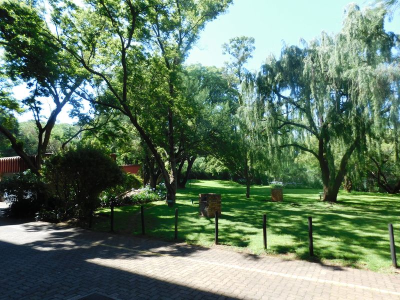 A Real Beaut in Kilner Park - Photo 7