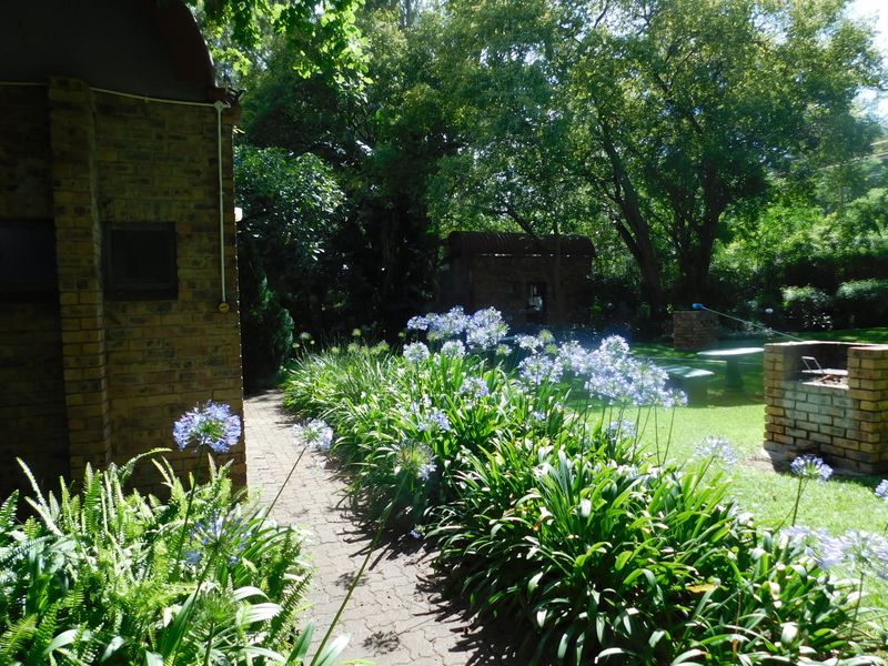 A Real Beaut in Kilner Park - Photo 6