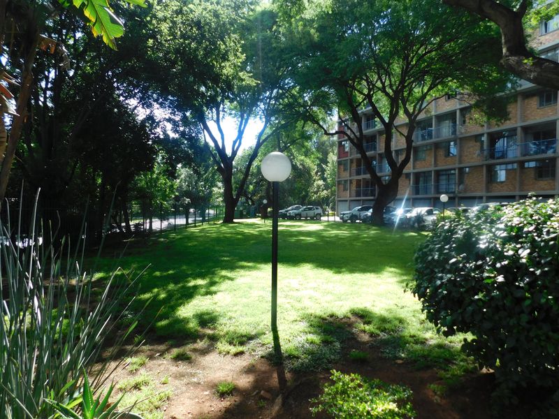 A Real Beaut in Kilner Park - Photo 4