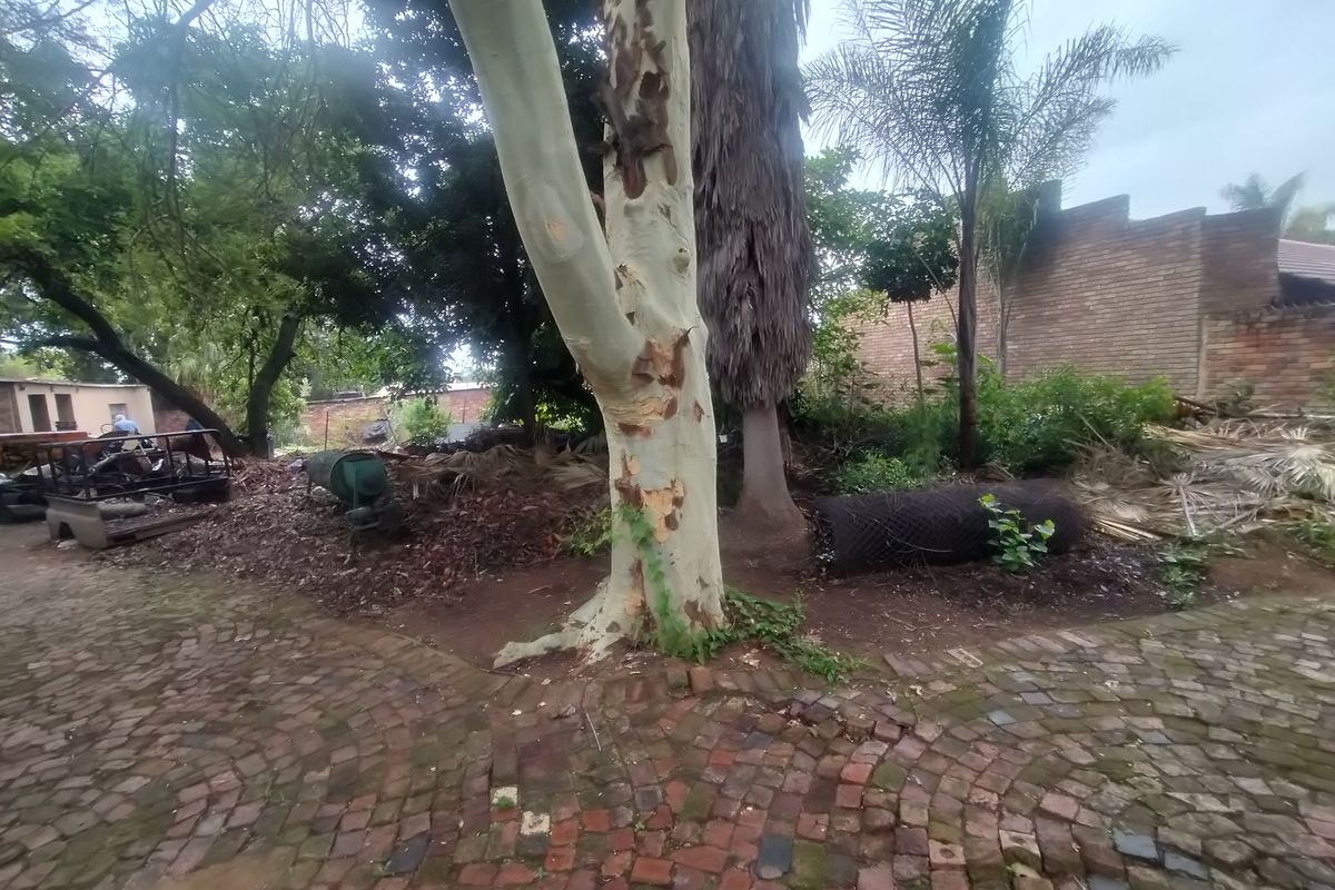 Prime Development and Business Opportunity in Pretoria North - Photo 3