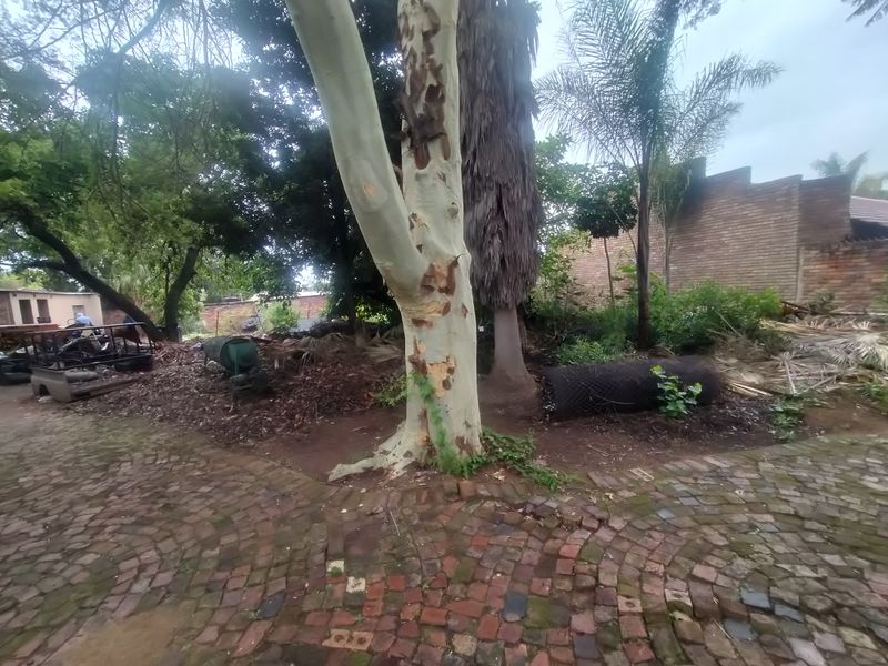 Prime Development and Business Opportunity in Pretoria North - Photo 3
