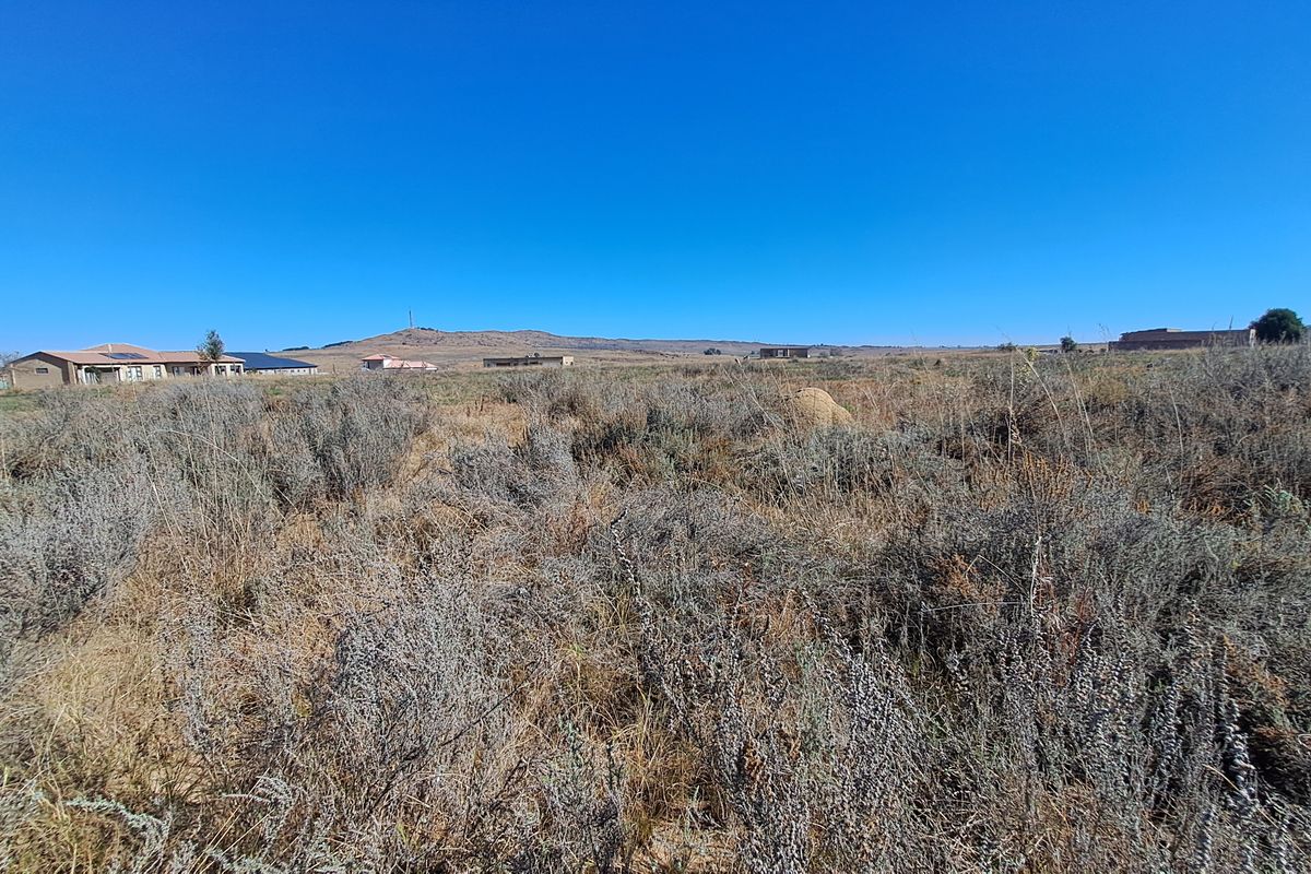 Opportunity To Build Your Dream home - Photo 4
