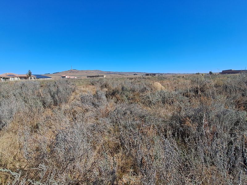 Opportunity To Build Your Dream home - Photo 4