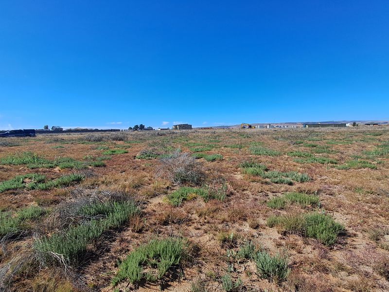 Opportunity To Build Your Dream home - Photo 8