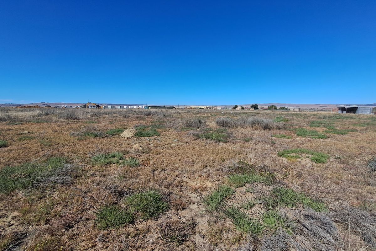 A wide-angle view of a vacant residential plot featuring natural vegetation and open space, suitable for future development.