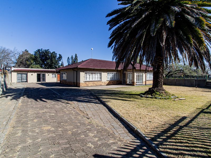 Front view of a single-story house featuring a paved driveway, tiled roof, security bars on windows, and a large mature palm tree in the yard.