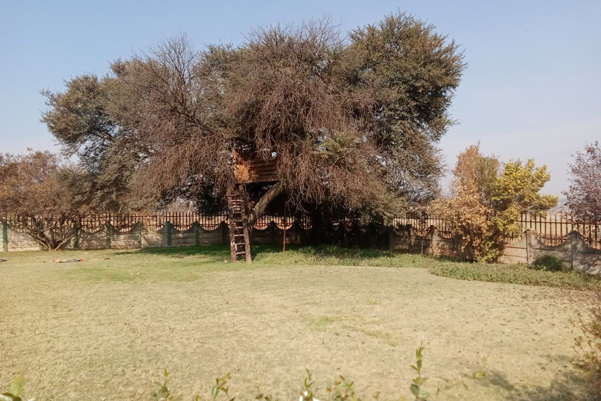 A Beautiful Agricultural lifestyle living - Photo 3