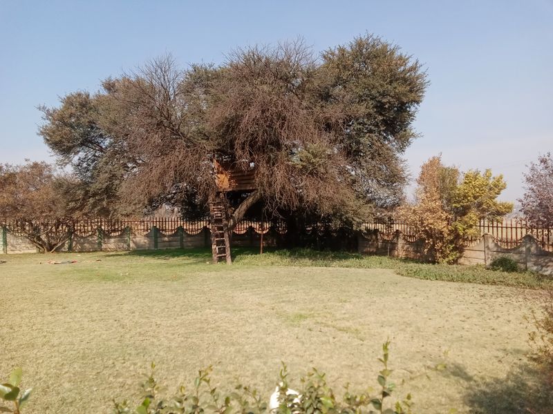 A Beautiful Agricultural lifestyle living - Photo 3