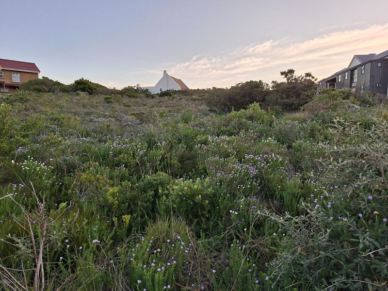 Pringle Bay Vacant Land | One of the Last Great Stands inside the Anne Road Loop - Photo 4