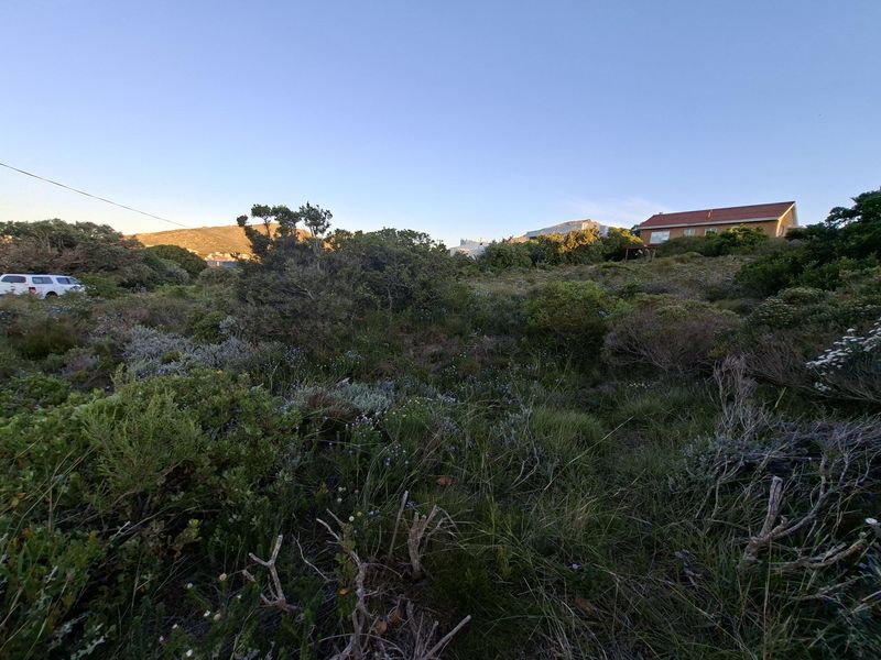 Pringle Bay Vacant Land | One of the Last Great Stands inside the Anne Road Loop - Photo 10