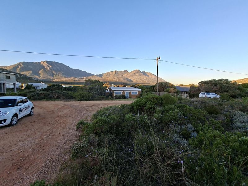 Pringle Bay Vacant Land | One of the Last Great Stands inside the Anne Road Loop - Photo 7