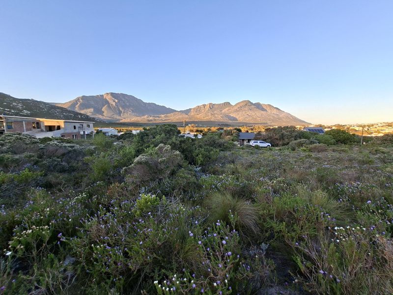 Pringle Bay Vacant Land | One of the Last Great Stands inside the Anne Road Loop - Photo 8