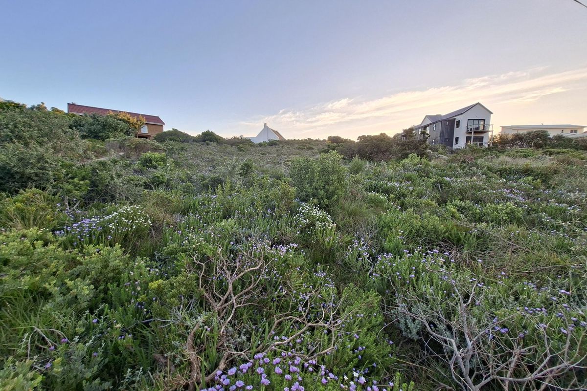 Pringle Bay Vacant Land | One of the Last Great Stands inside the Anne Road Loop - Photo 5