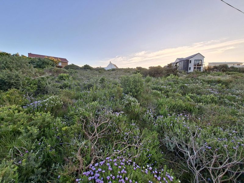 Pringle Bay Vacant Land | One of the Last Great Stands inside the Anne Road Loop - Photo 5