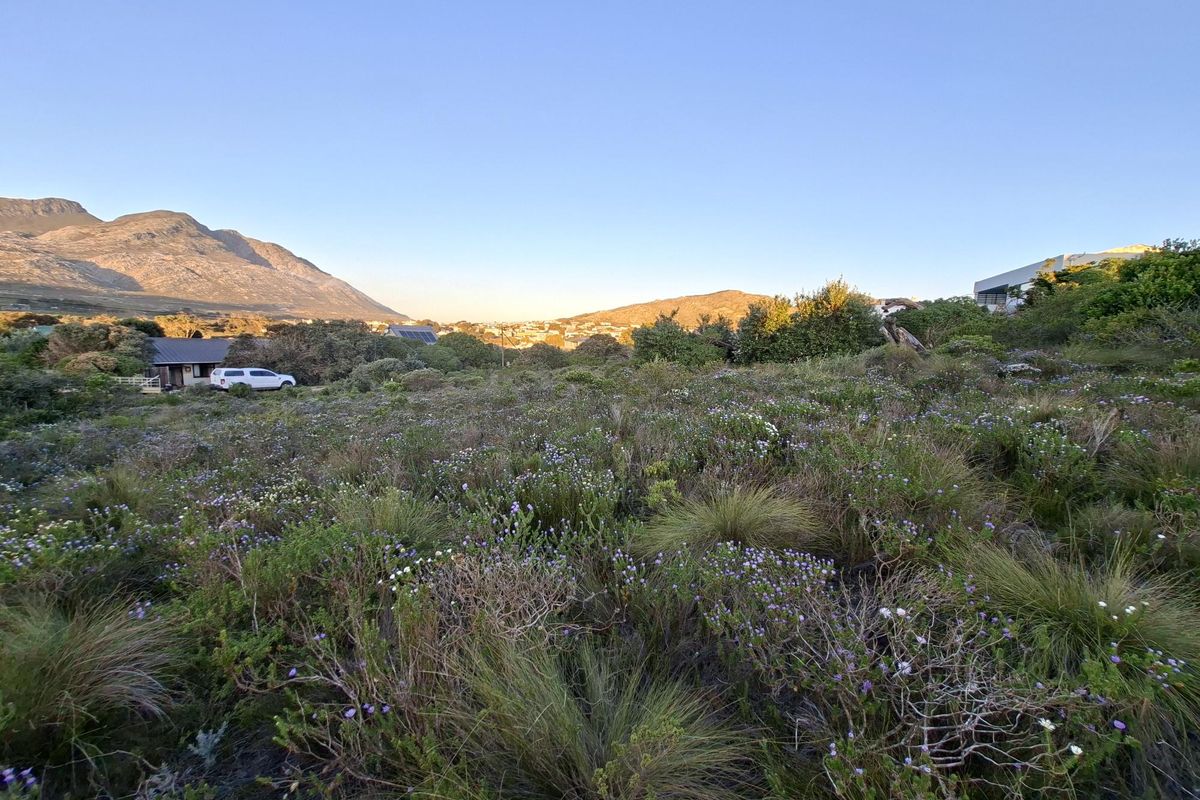 Pringle Bay Vacant Land | One of the Last Great Stands inside the Anne Road Loop - Photo 2