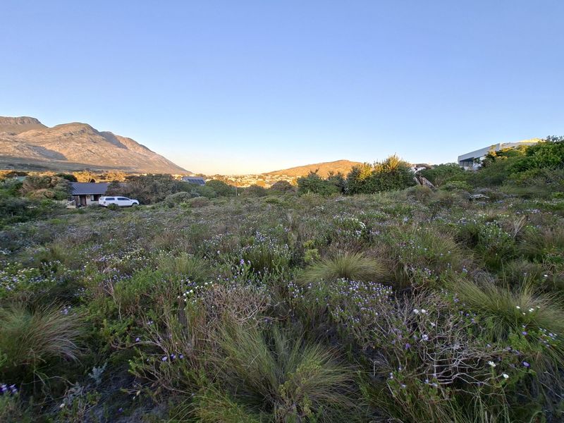 Pringle Bay Vacant Land | One of the Last Great Stands inside the Anne Road Loop - Photo 2