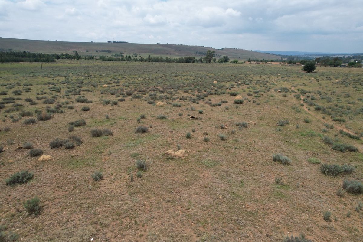 PRIME AGRICULTURAL LAND WITH ENDLESS POTENTIAL - Photo 2