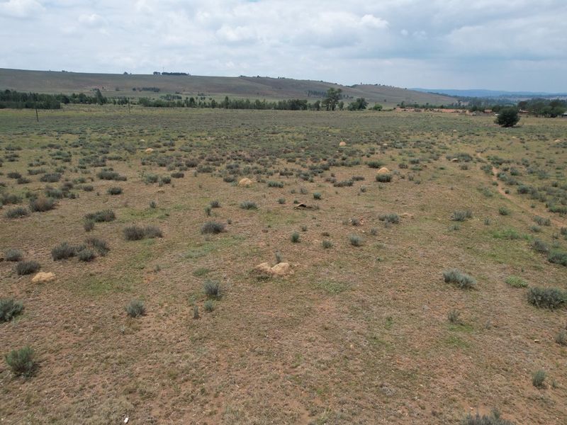 PRIME AGRICULTURAL LAND WITH ENDLESS POTENTIAL - Photo 2