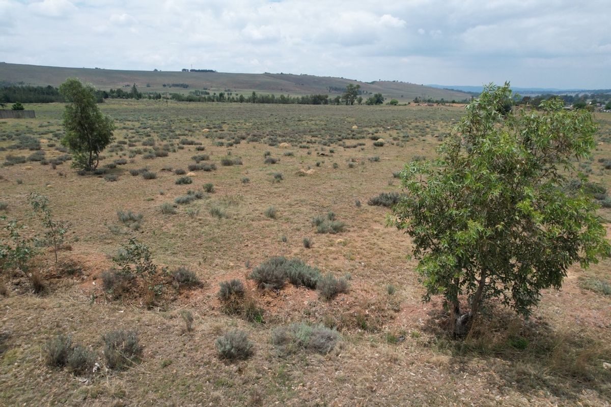 PRIME AGRICULTURAL LAND WITH ENDLESS POTENTIAL - Photo 4