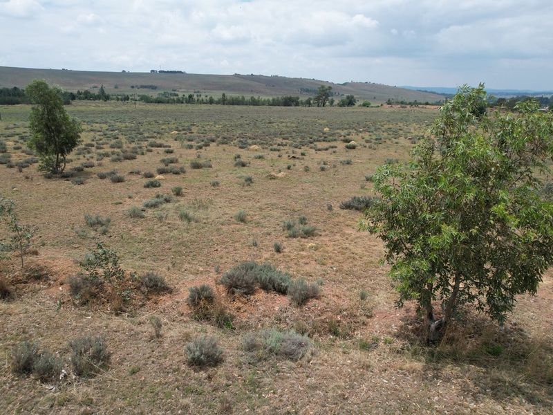 PRIME AGRICULTURAL LAND WITH ENDLESS POTENTIAL - Photo 4