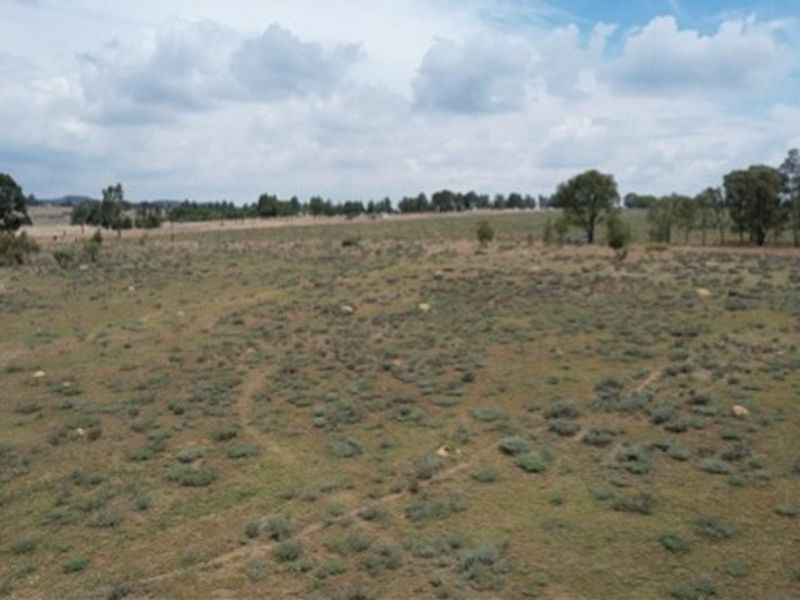 PRIME AGRICULTURAL LAND WITH ENDLESS POTENTIAL - Photo 9