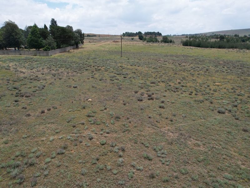 PRIME AGRICULTURAL LAND WITH ENDLESS POTENTIAL - Photo 7
