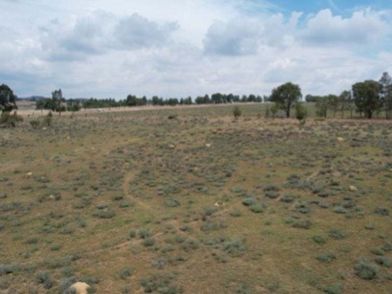 PRIME AGRICULTURAL LAND WITH ENDLESS POTENTIAL - Photo 6