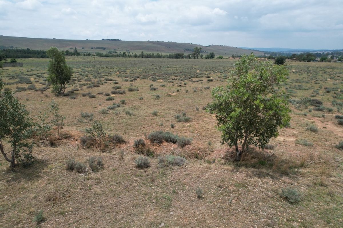 PRIME AGRICULTURAL LAND WITH ENDLESS POTENTIAL - Photo 3