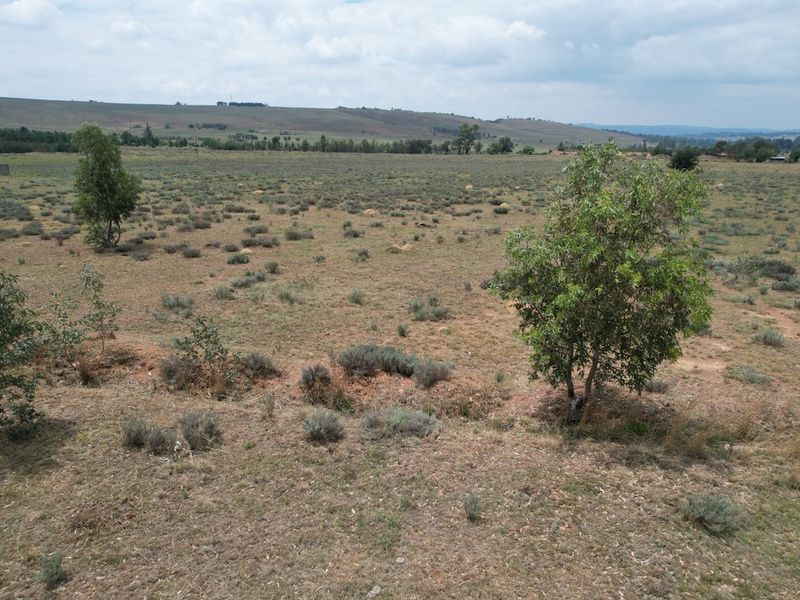 PRIME AGRICULTURAL LAND WITH ENDLESS POTENTIAL - Photo 3