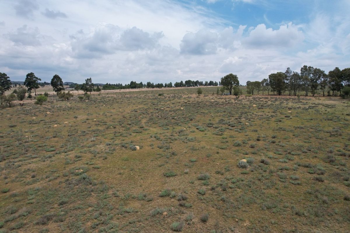 PRIME AGRICULTURAL LAND WITH ENDLESS POTENTIAL - Photo 5