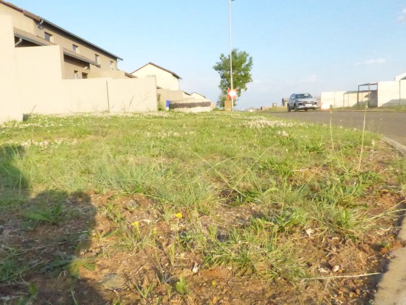 A street-level view showing the property frontage, paved road, concrete kerbing, and boundary walls with an unmaintained grass verge.