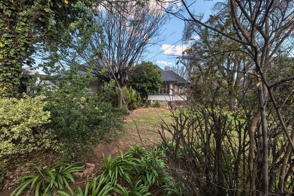 Style and comfort combined -  Family Home for sale in Parys - Photo 4