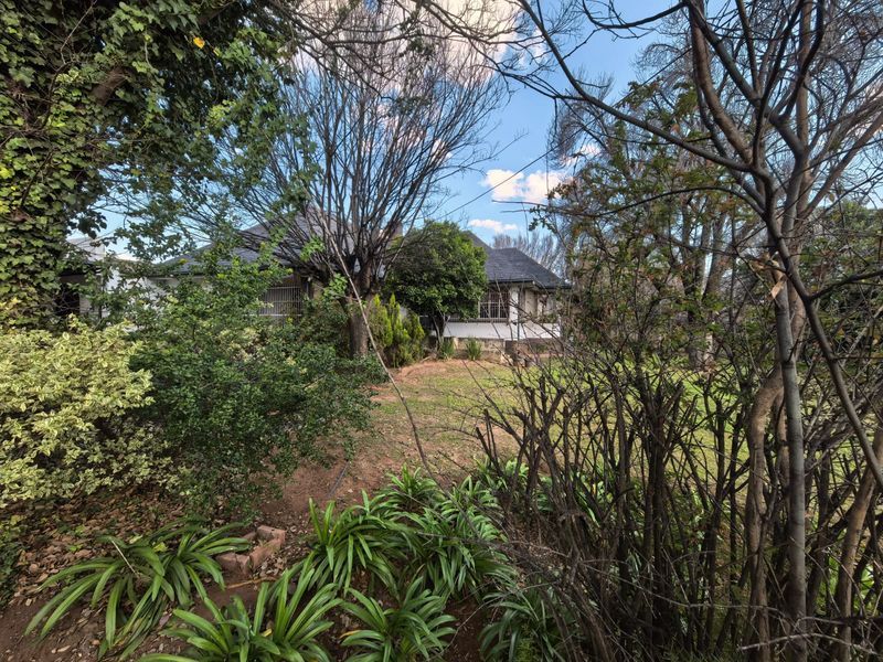 Style and comfort combined -  Family Home for sale in Parys - Photo 4
