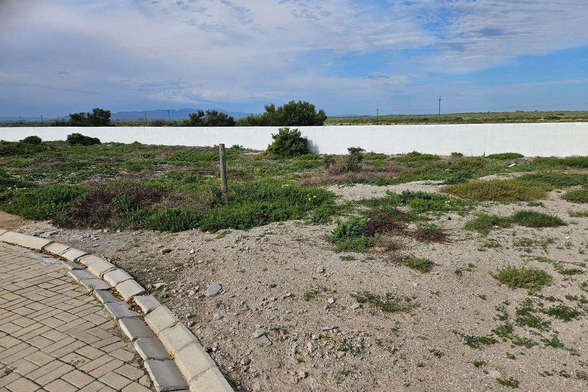 Exclusive Mandate – Prime Vacant Stand in Dwarskersbos - Photo 2