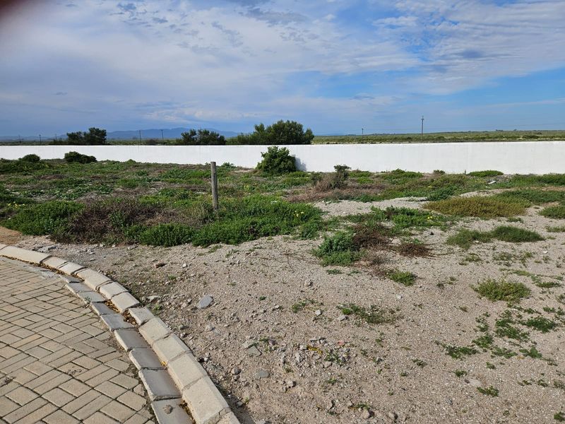 Exclusive Mandate – Prime Vacant Stand in Dwarskersbos - Photo 2