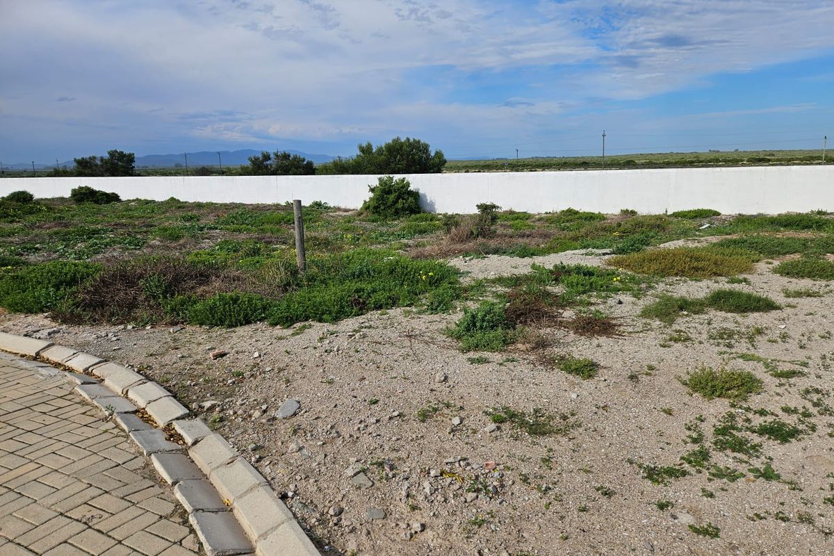 Exclusive Mandate – Prime Vacant Stand in Dwarskersbos - Photo 3