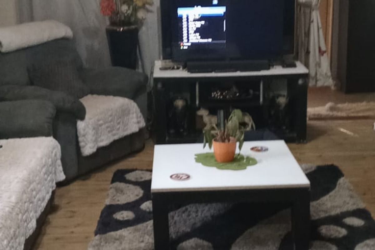 Great Investment Potential - Photo 4