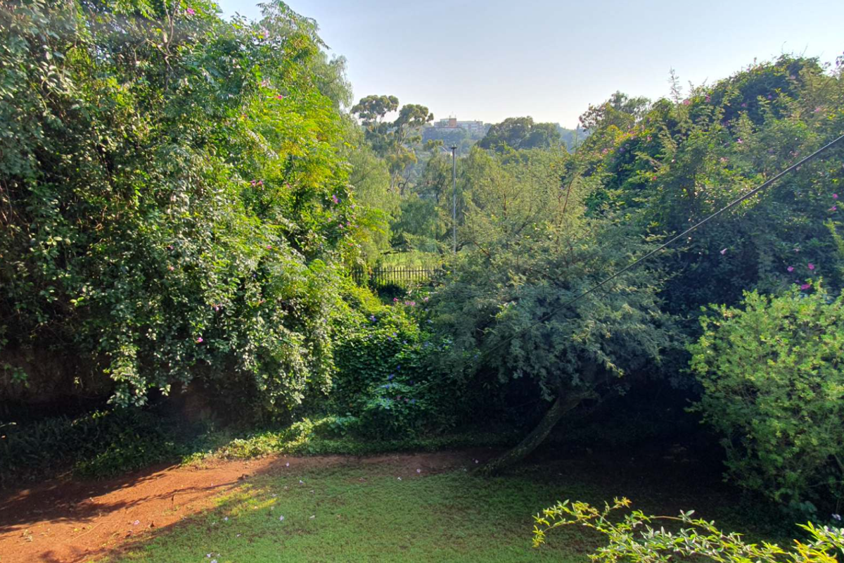 Exceptional Golf Course Property with Endless Potential - Photo 5