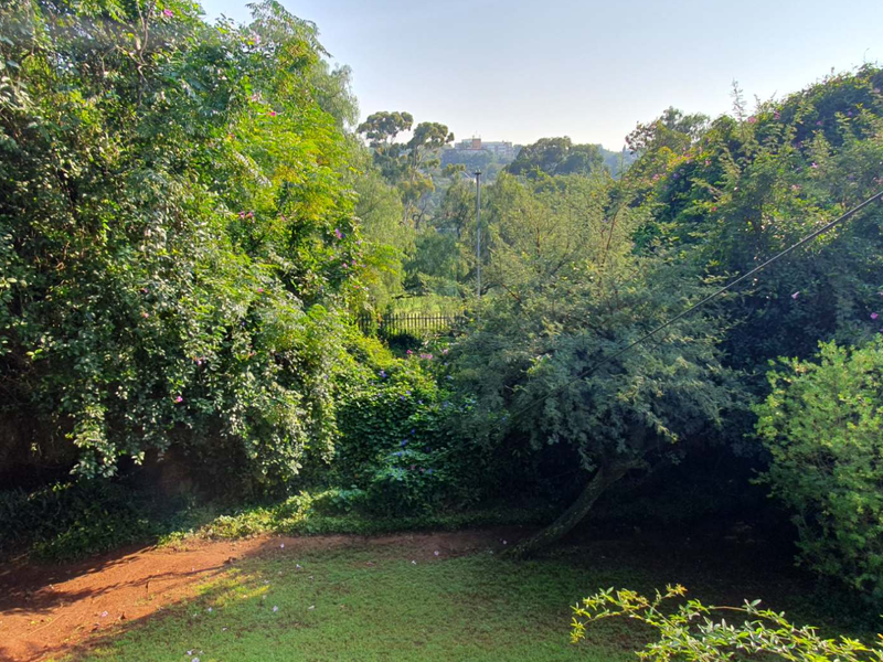 Exceptional Golf Course Property with Endless Potential - Photo 5