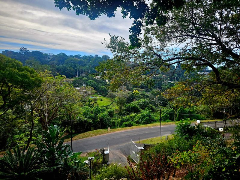 Set high among the treetops where birdsong is your daily music... - Photo 10